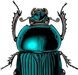 beetle_bug_clip_art_20413.jpg